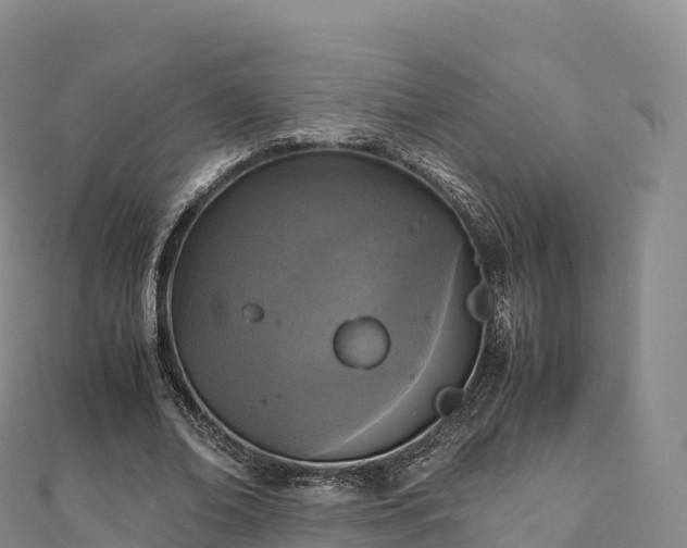 X0000110730678200906191526