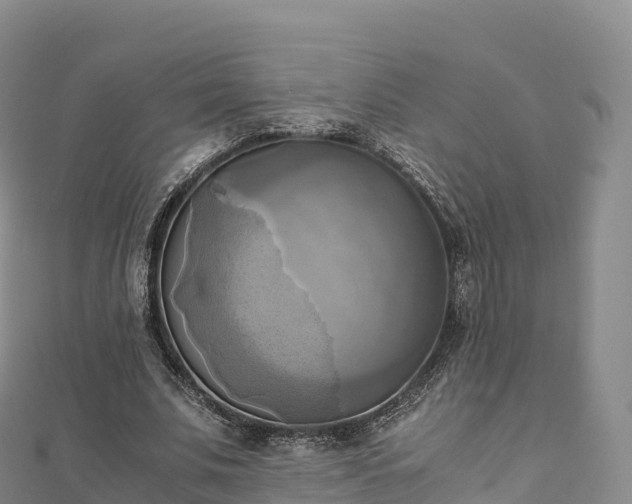 X0000110730679200906191526