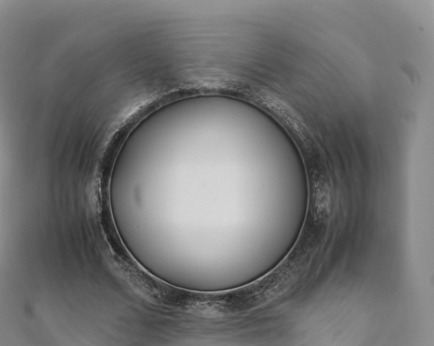 X0000110730680200906191526