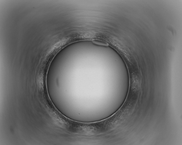 X0000110730681200906191526