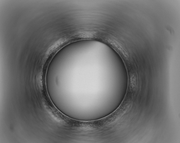 X0000110730682200906191526