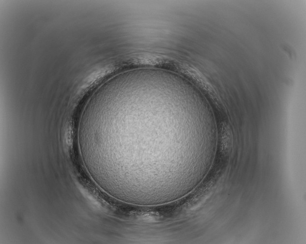 X0000110730683200906191526