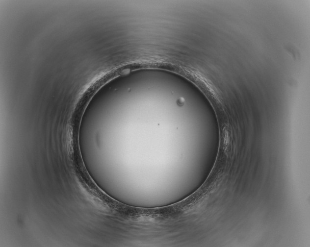 X0000110730684200906191526