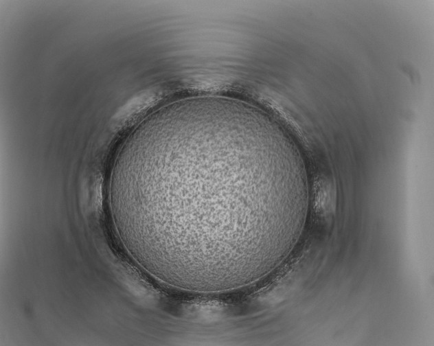 X0000110730685200906191526