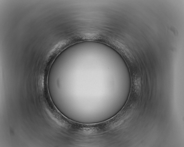 X0000110730686200906191526