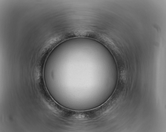 X0000110730687200906191526