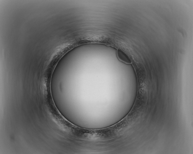 X0000110730688200906191526