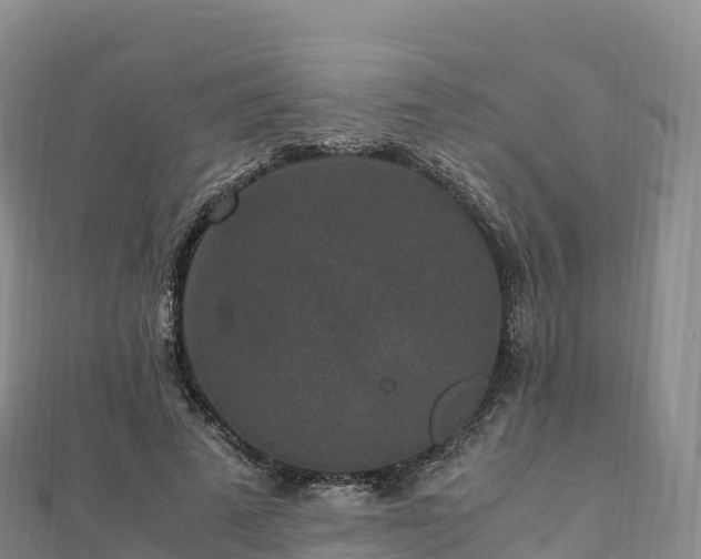 X0000110730689200906191526