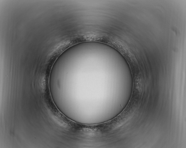 X0000110730690200906191526