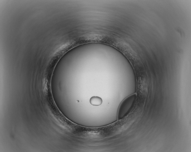 X0000110730692200906191526