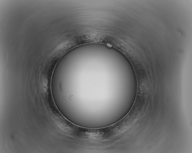 X0000110730693200906191526