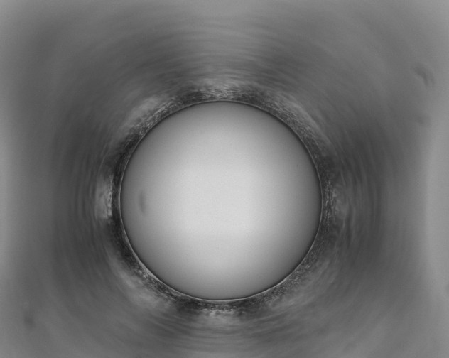 X0000110730694200906191526