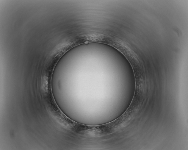 X0000110730696200906191526