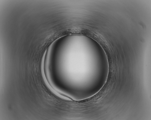 X0000110730697200906191526