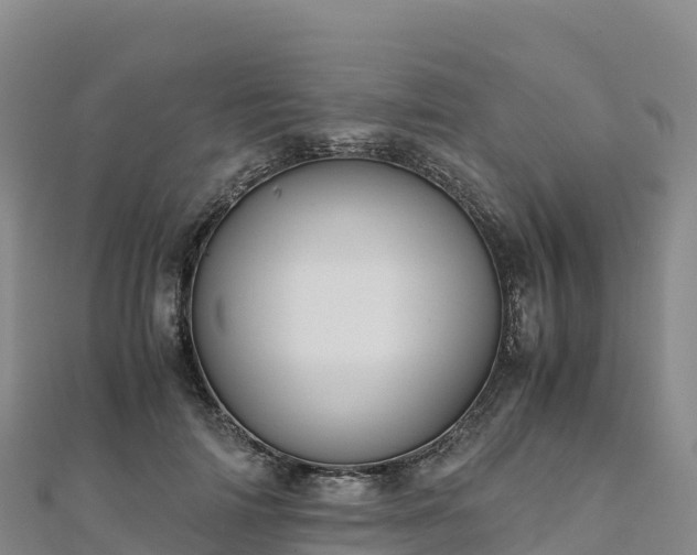 X0000110730698200906191526