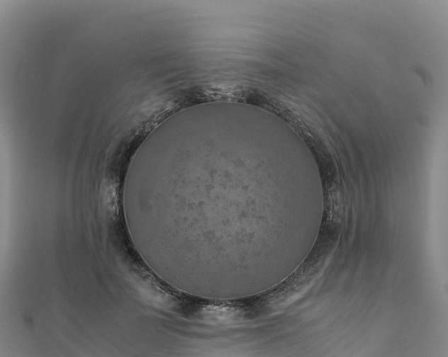 X0000110730699200906191526