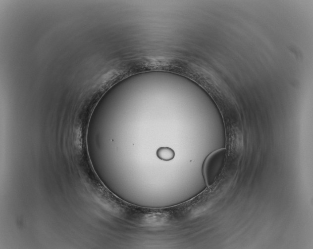 X0000110730700200906191526