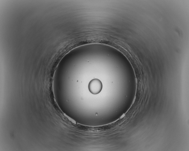 X0000110730701200906191526