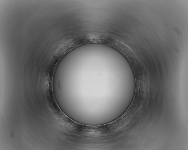 X0000110730702200906191526