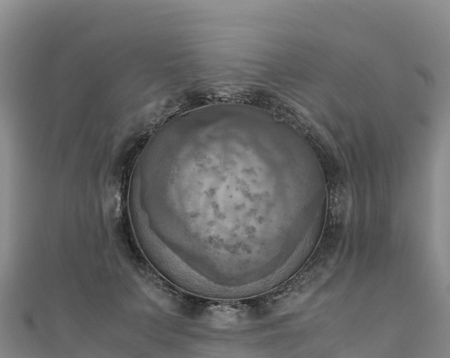 X0000110730703200906191526