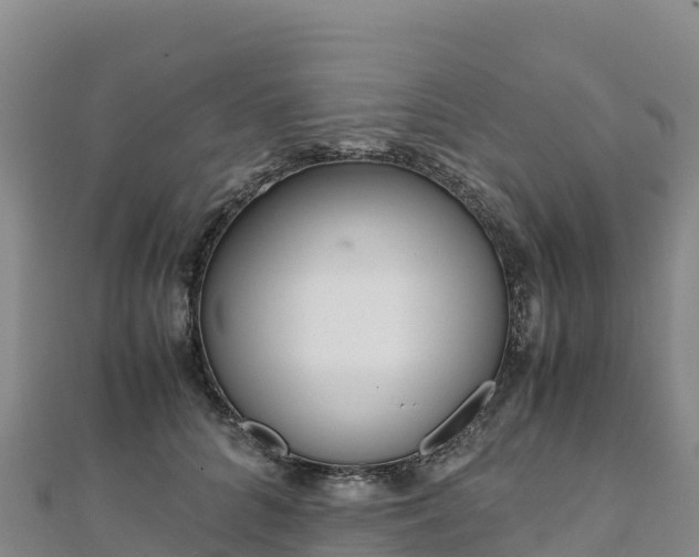 X0000110730704200906191526