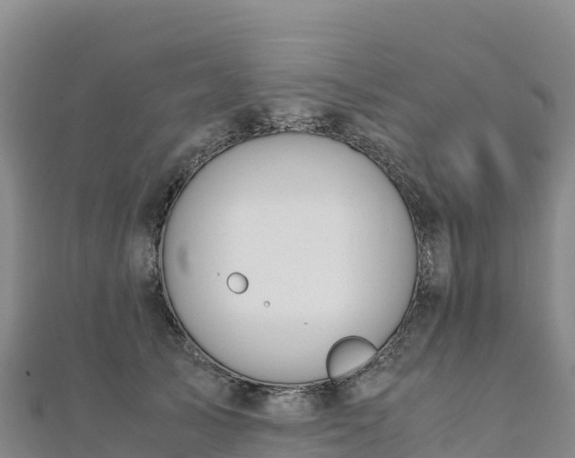 X0000110730705200906191526