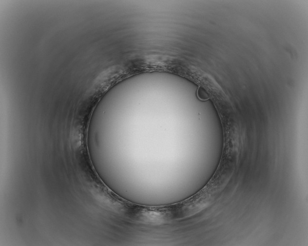 X0000110730706200906191526