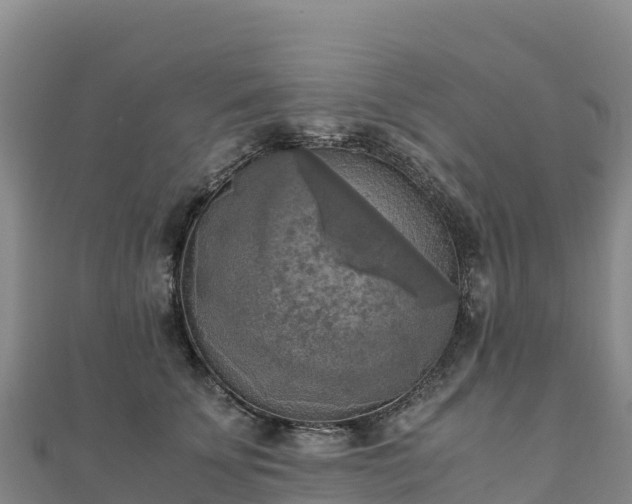 X0000110730707200906191526