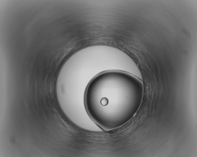 X0000110730708200906191526