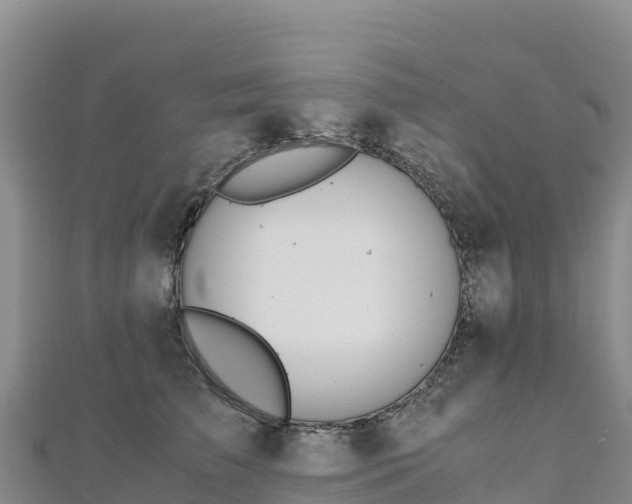 X0000110730709200906191526