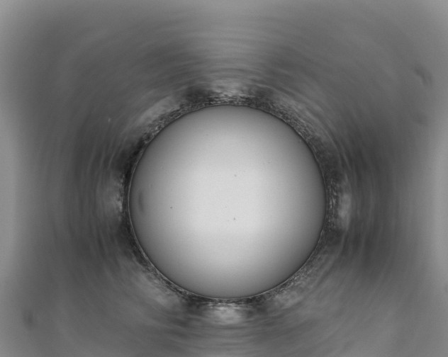 X0000110730710200906191526