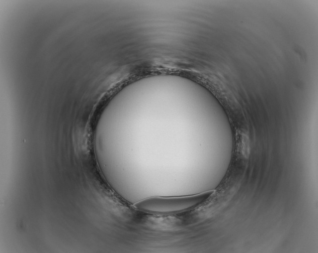 X0000110730712200906191526