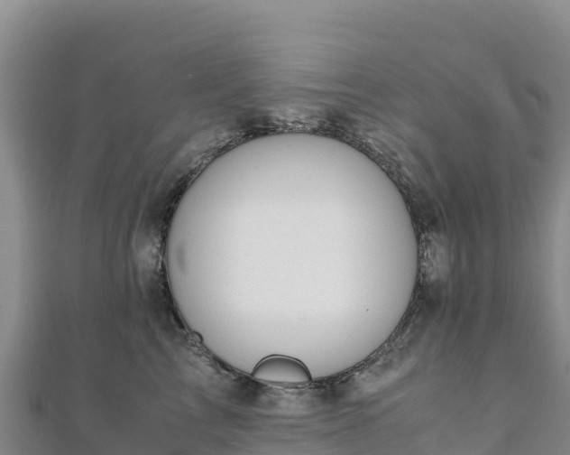 X0000110730713200906191526