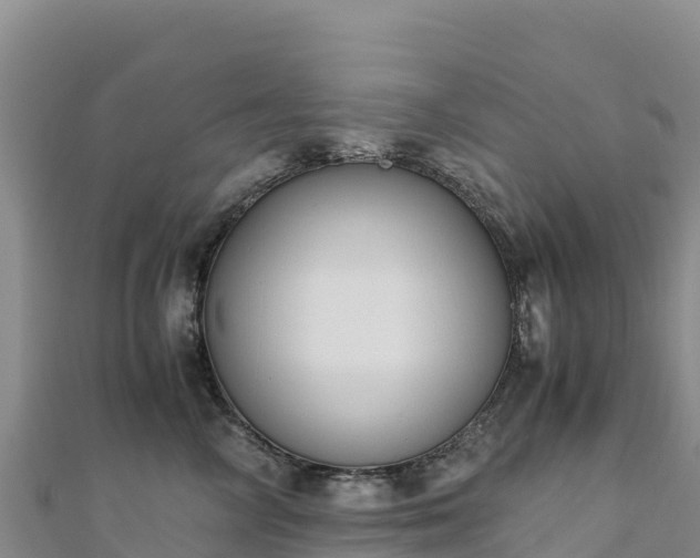 X0000110730714200906191526