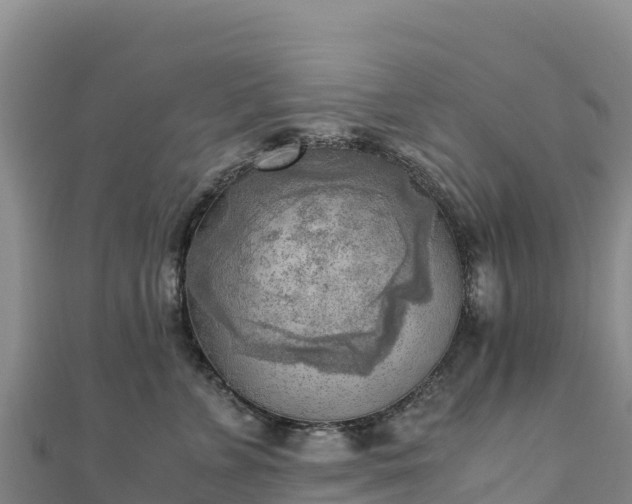 X0000110730715200906191526