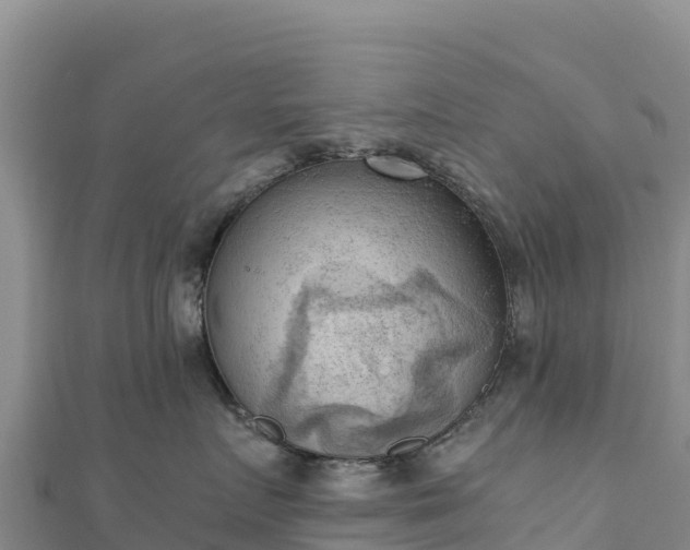 X0000110730719200906191526