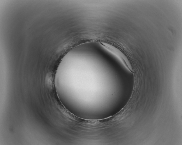 X0000110730720200906191526