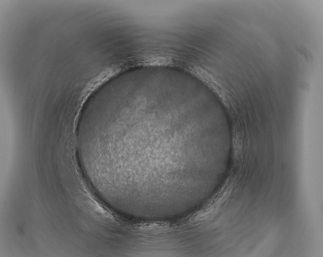 X0000110730721200906191525