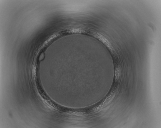 X0000110730722200906191525