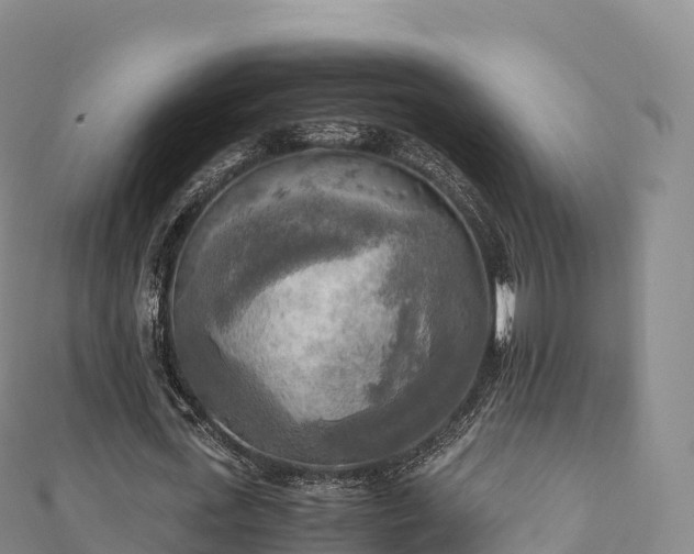 X0000110730723200906191525