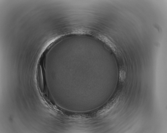 X0000110730724200906191525