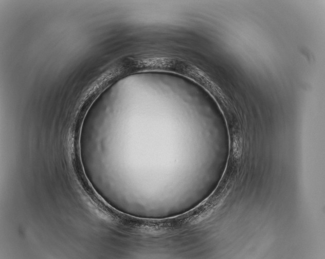 X0000110730725200906191525