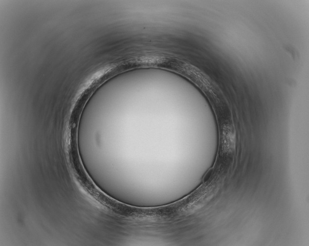 X0000110730726200906191525