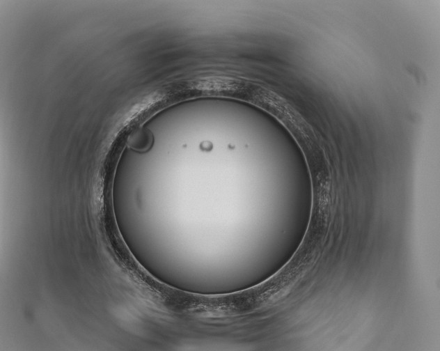 X0000110730727200906191525