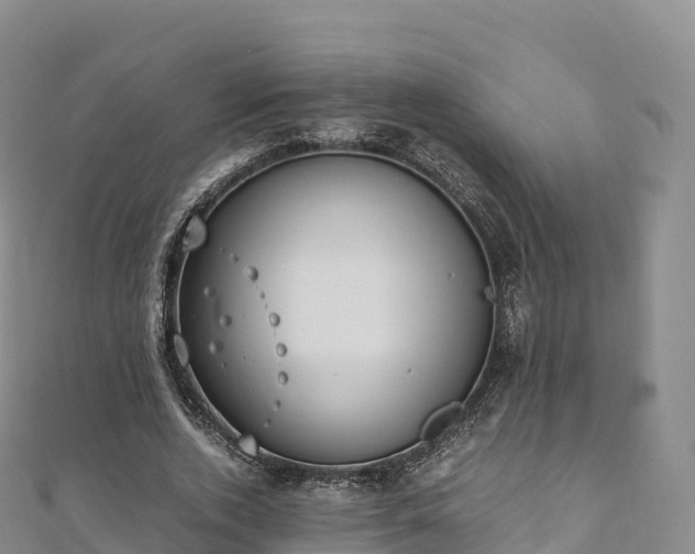 X0000110730728200906191525