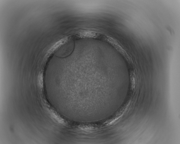 X0000110730729200906191525