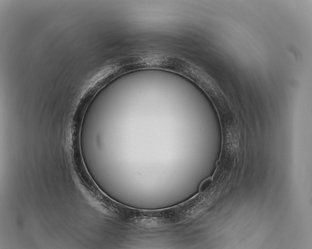 X0000110730730200906191525