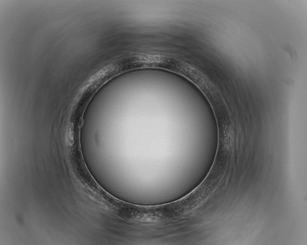 X0000110730731200906191525