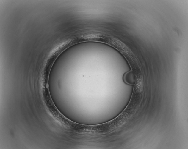 X0000110730732200906191525