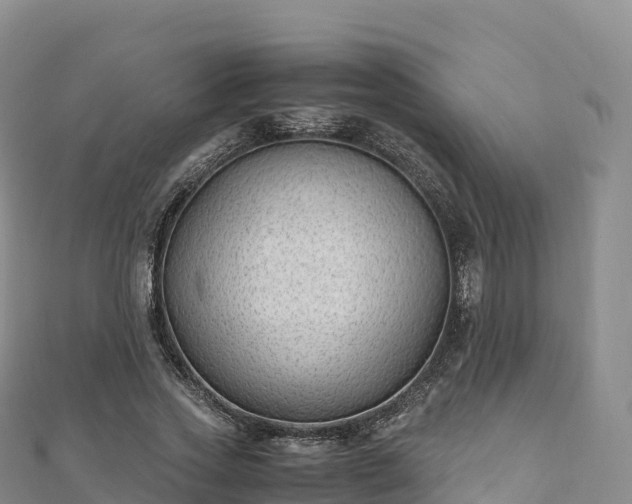 X0000110730733200906191525